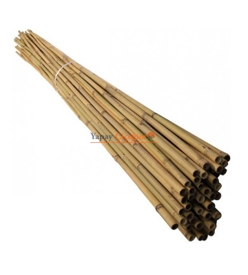 Boş Bambu Dal Çubuk - Bambou Çubuk - Banbu Çubuk